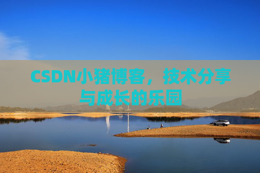 CSDN小猪博客，技术分享与成长的乐园